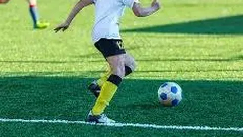 平博体育 产品 113351 sd0