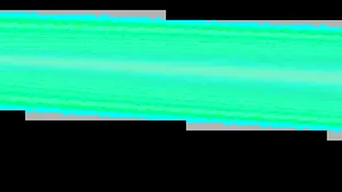 沧州雄狮正式告别中国足球职业联赛赛场