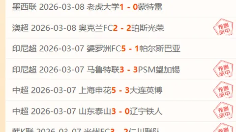 荷甲赛事分析：专家深度解读，信心推荐质合前区十码